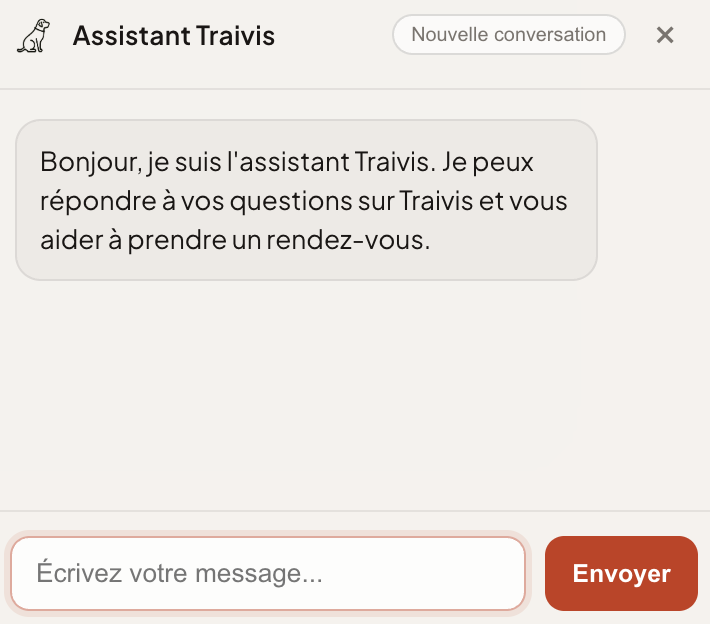 Interface du chatbot sur le site